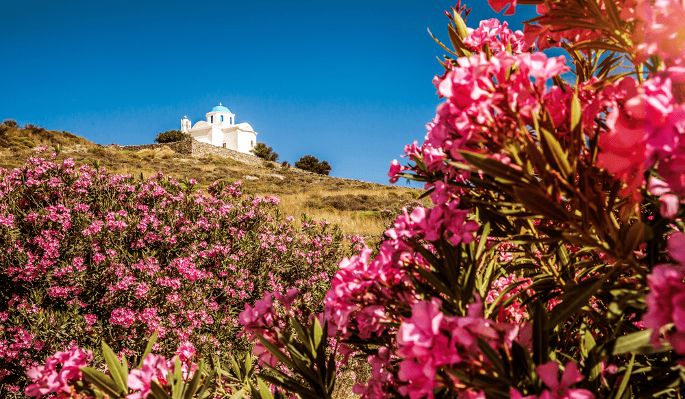 paros-grece-yoga