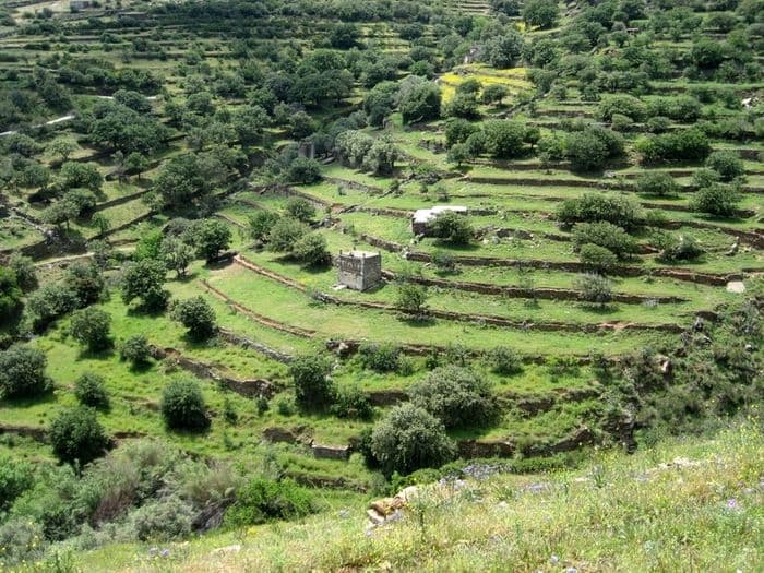 tinos spring